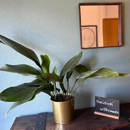 Apartment Ohpardon! Michelbach - Garten & Balkon, Sauna, Netflix Michelbach an Der Bilz